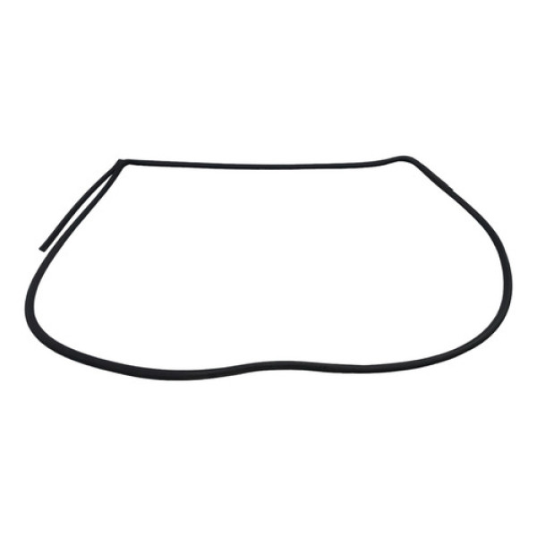 Borracha De Vedação Porta Tras.direita Honda Accord 08/09