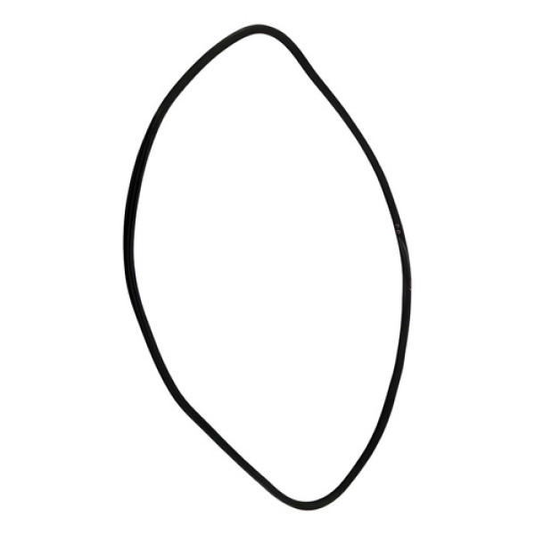 Borracha Vedação Porta Dianteira Dir Fluence 2011/18 47888 Preto