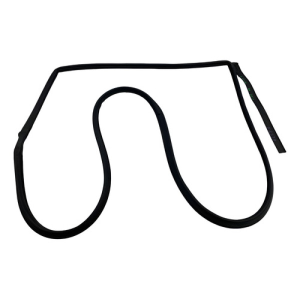 Borracha Vedação Porta Tras Esquerda Ford New Fiesta 2013/21 Preto