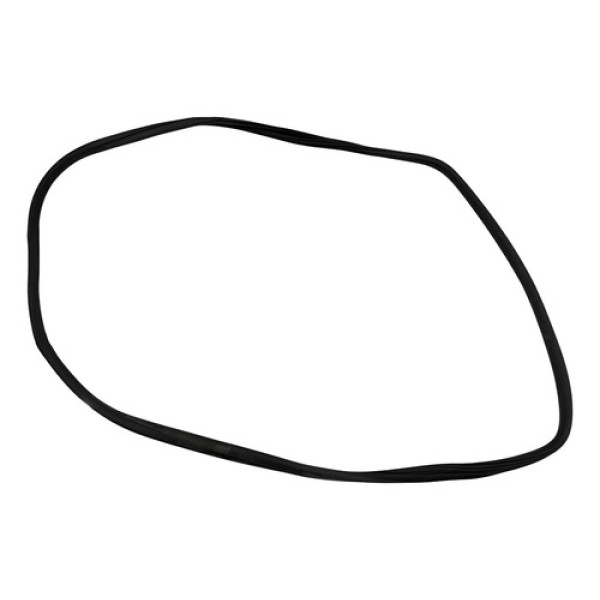 Borracha Vedação Carroceria Tras Esq C4 Pallas 07/12 49735 Preto