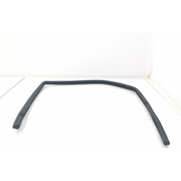 Borracha Canaleta Porta Traseira Direita Fiat Palio 05/15