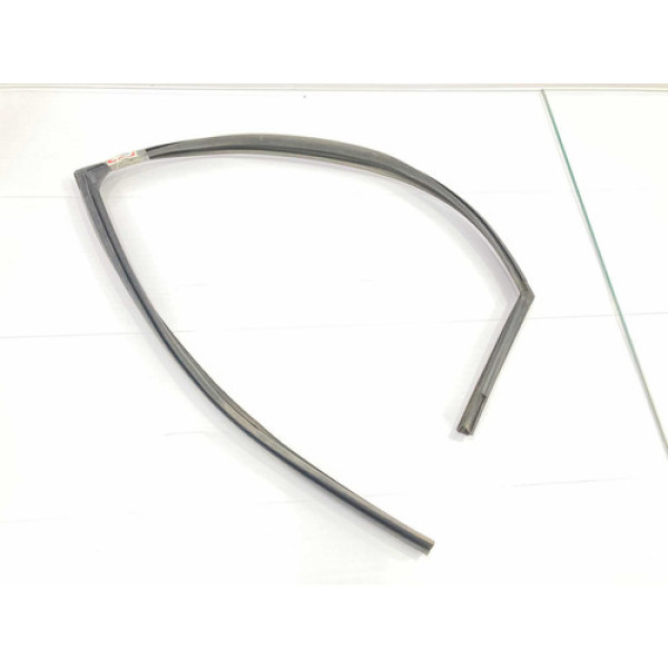 Borracha Canaleta Porta T.d. Hyundai Hb20 Hatch 2013/2016