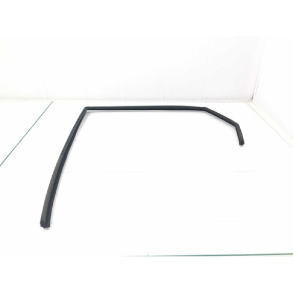 Borracha Canaleta Porta Traseira Direita Hyundai I30 09/12