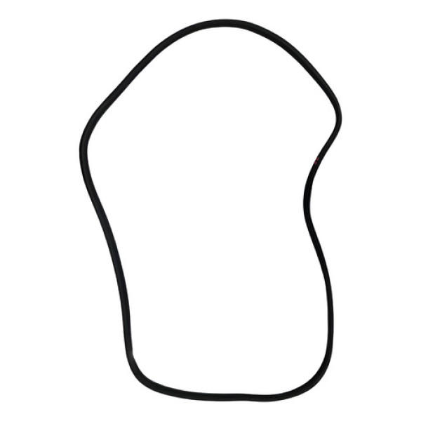 Borracha Vedação Carroceria Dian Esq C4 Pallas 07/12 49737 Preto