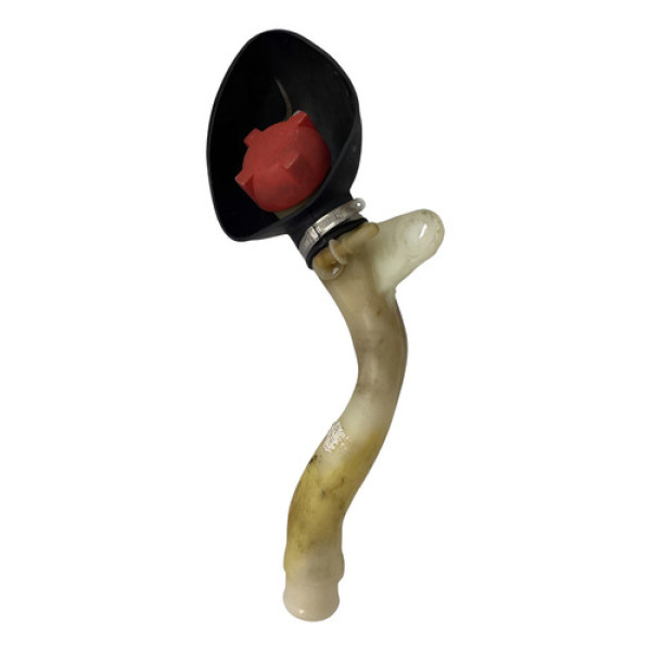 Gargalo Reservatorio Partida Frio Clio 1.0 16v 04/16 51264