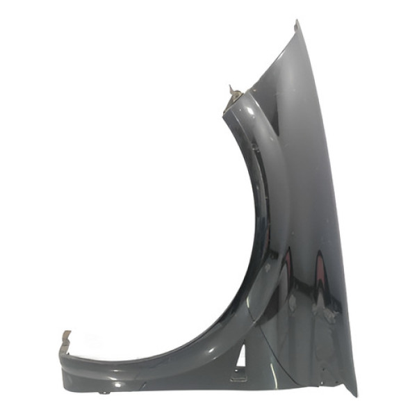 Pára-lama Esquerdo Renault Megane 2006/2012