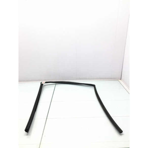 Borracha Canaleta Traseira Direita Toyota Corolla 2020/2021