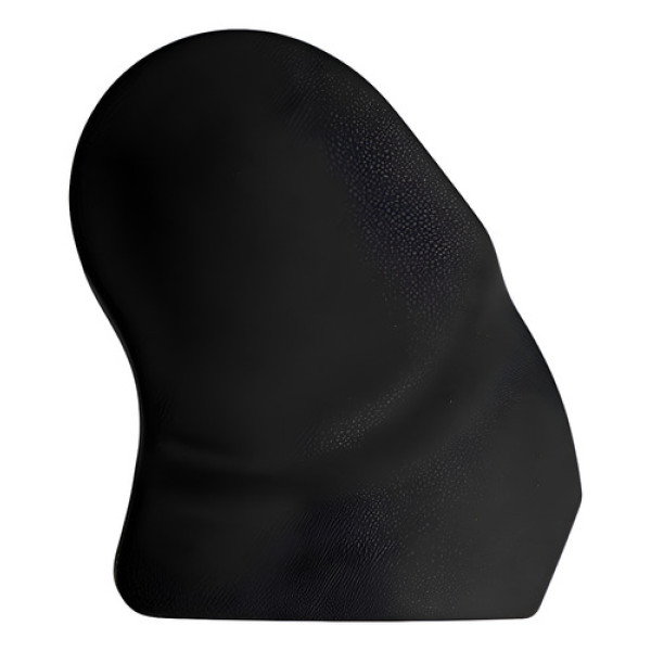 Acabamento Esquerdo Banco Passageiro Fluence 2011/2018 46649 Preto