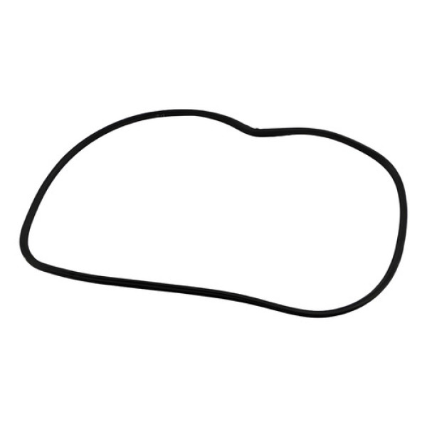 Borracha Vedação Porta Dianteira Esq Fluence 2011/18 47892 Preto