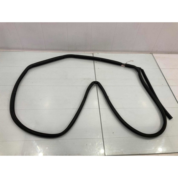 Borracha Vedação Porta Traseira Esquerda Ford Ecosport 2017