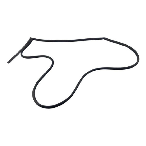 Borracha Vedação Porta Tras Direita Creta 2017/202152749 Preto