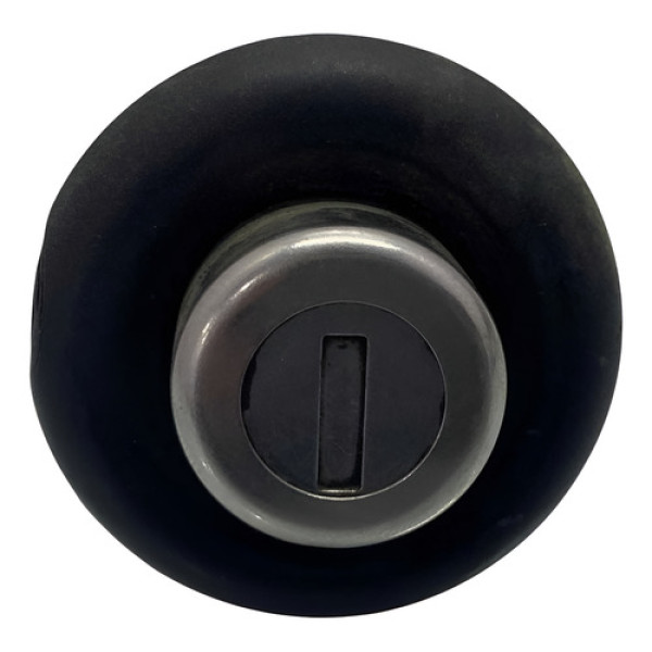 Cilindro Tampa Traseira Renault Sandero 2008/2014 49281