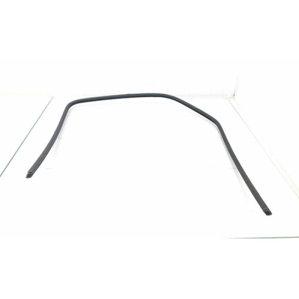 Borracha Canaleta Porta Traseira D. Citroën Xsara Picasso 10