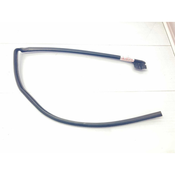 Borracha Porta Traseira Esquerda Honda City 2015/2019