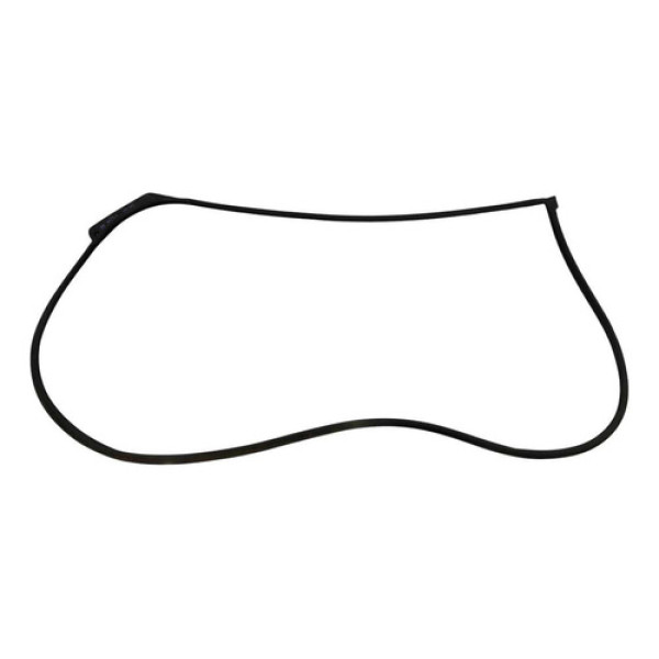 Borracha Vedação Porta Dian Direta Hb20 Hatch 19/22 52077 Preto