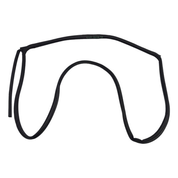 Borracha Porta Traseira Direita Ford Ecosport 2013/2021