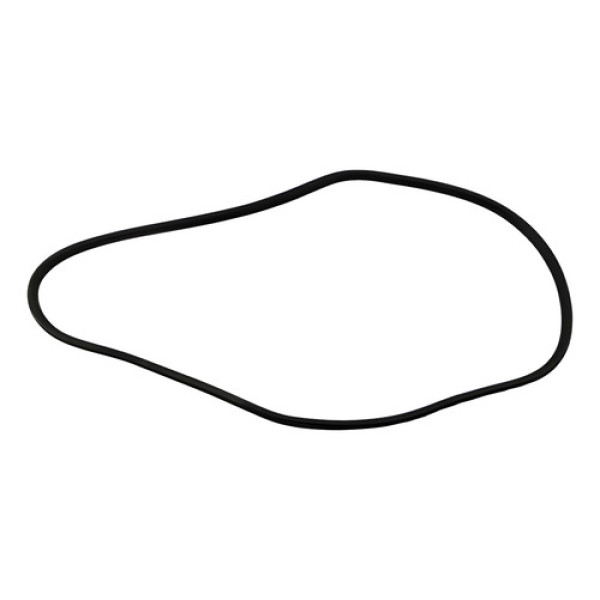 Borracha Vedação Porta Traseira Dir Fluence 2011/18 47890 Preto