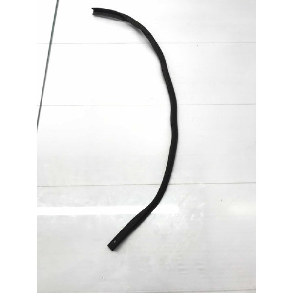 Borracha Porta Dianteira Dir Renault Megane Grandtour 06/12