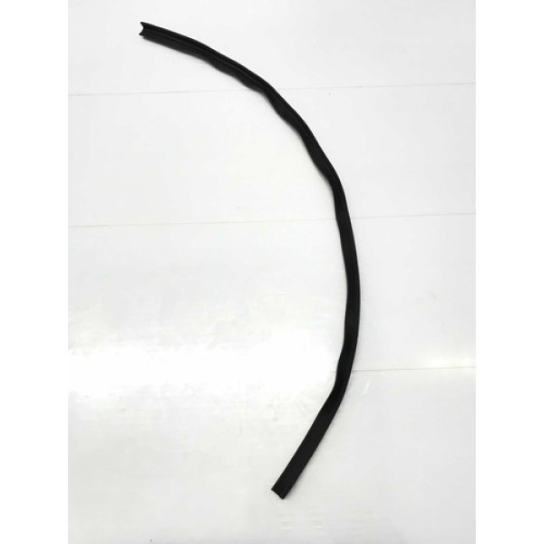 Borracha Porta Dianteira Direita Renault Megane 2006/2012