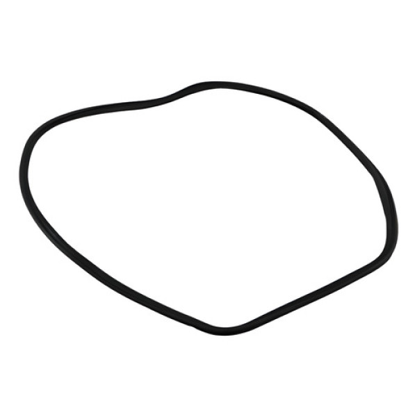 Borracha Vedação Carroceria Dian Dir C3 Picasso 10/15 48264 Prateado