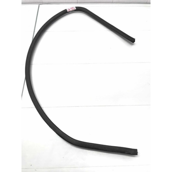 Borracha Porta Dianteira Direita Fiat Bravo 2010/2016