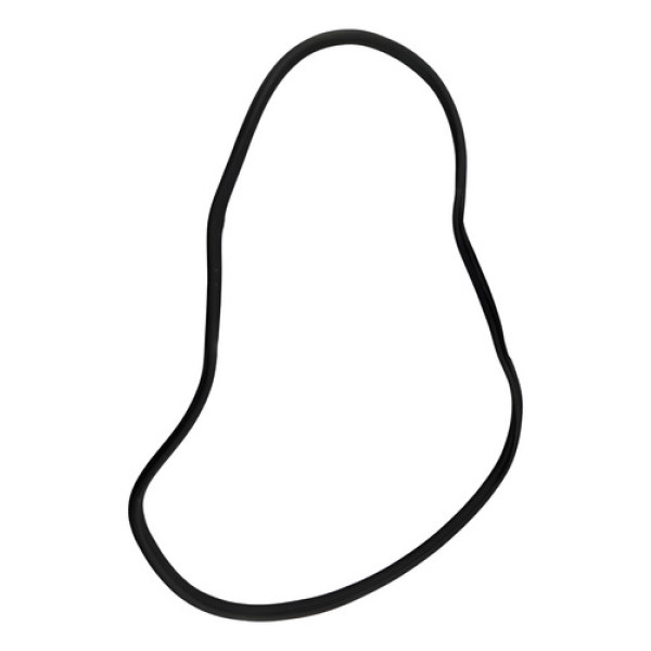 Borracha Vedação Carroceria Tras Esq C3 Picasso 10/15 48266 Prateado