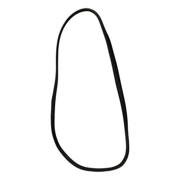 Borracha Vedação Porta Traseira Esq Fluence 2011/18 47889 Preto