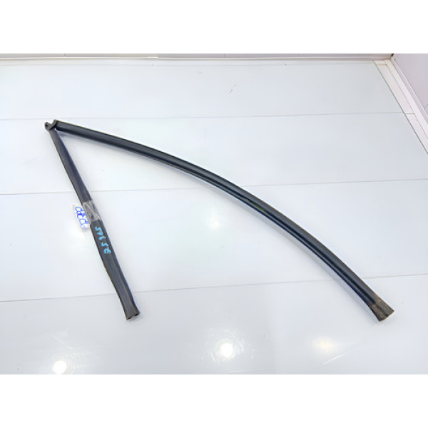 Borracha Canaleta Porta Traseira Direita Renaul Logan 15/20 - Preto