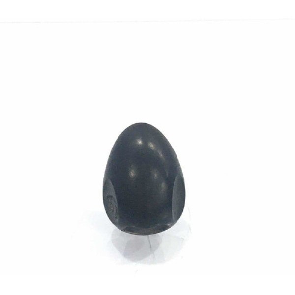 Esguicho Brucutu Dianteiro 3 Furos Renault Sandero 2017