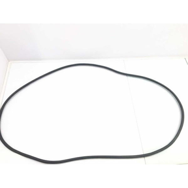 Borracha Vedação Porta Dianteira Direita Bmw 320i 2015